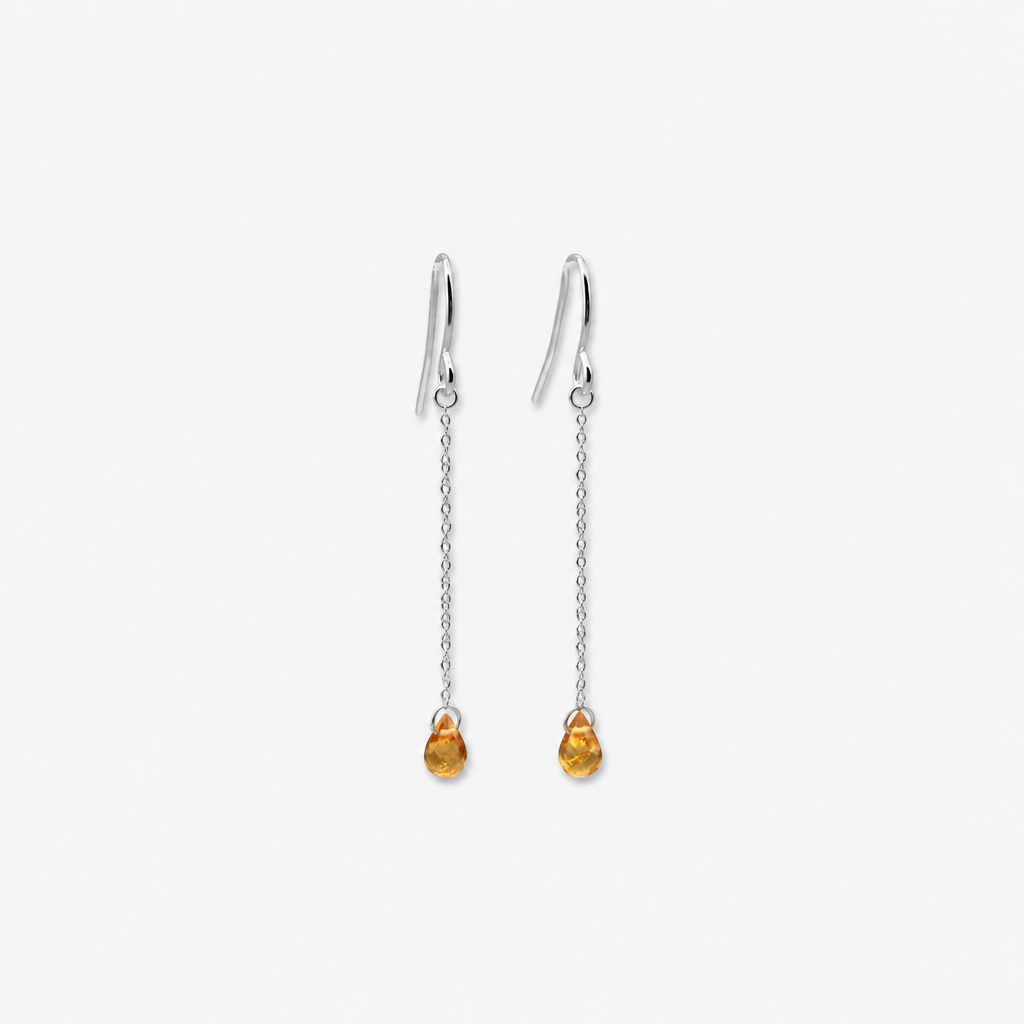 Spessartite Garnet Drop Earrings | 14K Gold