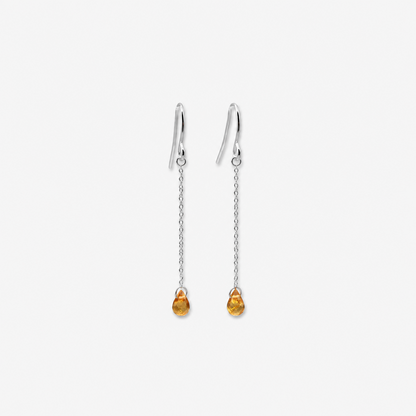 Spessartite Garnet Drop Earrings | 14K Gold